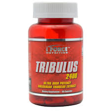 IForce Nutrition Tribulus 2400 Review
