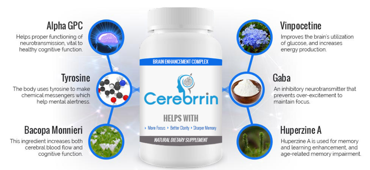 cerebrrin ingredients