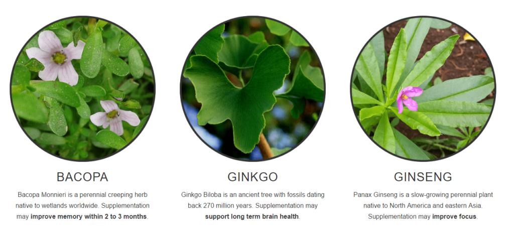 thrivous-clarity-ingredients-2