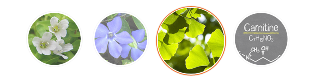 inteligen-ingredients-image