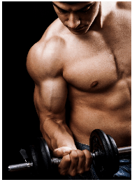 Best Supplements for Muscle Growth