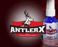 AntlerX Review – Does It Work?