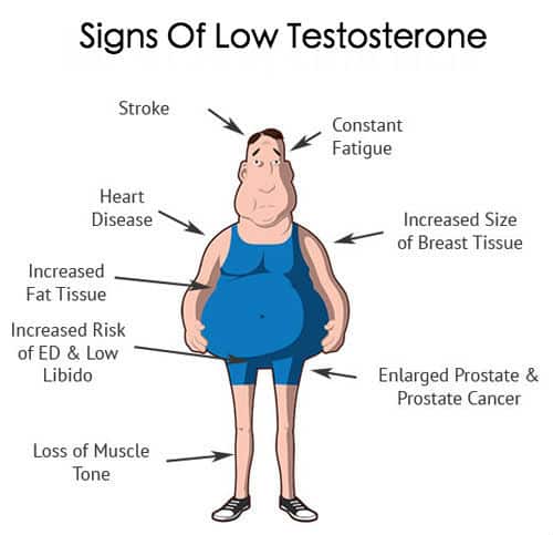 Low Testosterone Effects 