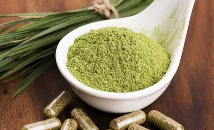 kratom capsules vs powder