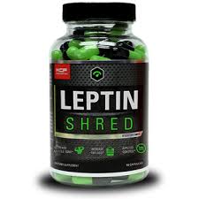 Leptin Shred Review – Should You Try It?