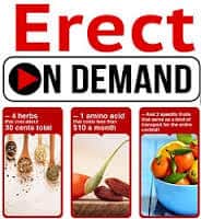 Erect on Demand Review – One Big Reason It’s Not Worth It