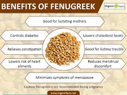 Fenugreek and Testosterone - What You Need To Know